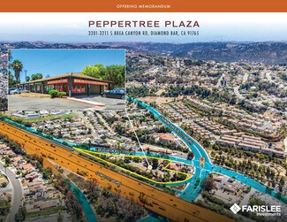 Plus de détails pour Peppertree Plaza | Low Rent | No Options – Commerce de détail à vendre, Diamond Bar, CA